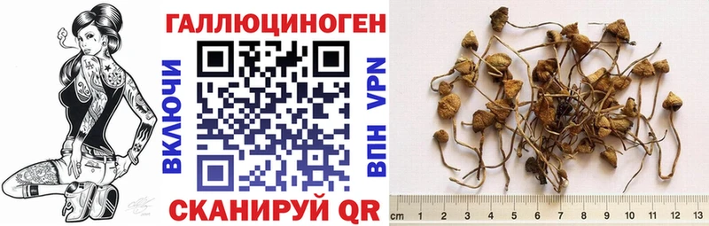 Галлюциногенные грибы мухоморы  Йошкар-Ола 