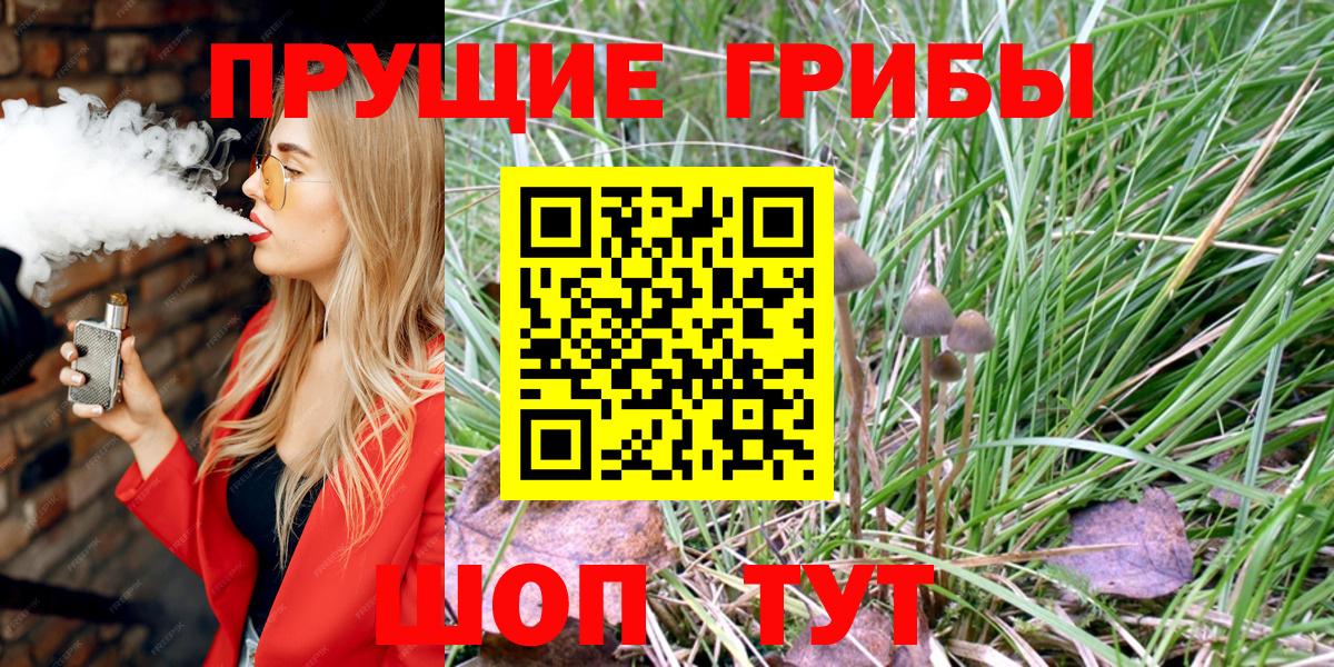Псилоцибиновые грибы Psilocybine cubensis  Псилоцибиновые грибы мухоморы  Вход с VPN  Йошкар-Ола 